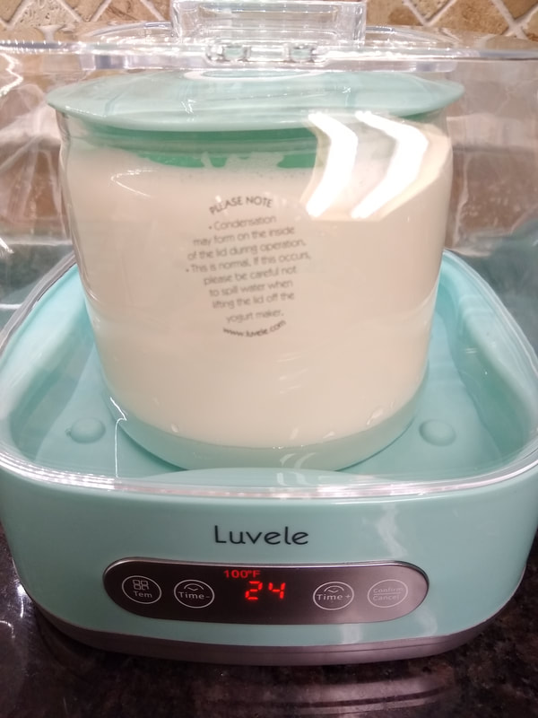 Luvele Yogurt Maker - My thriving kitchen